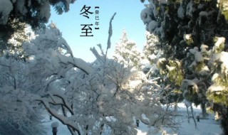 冬至日是哪天（2025冬至日是哪天）