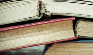 吸引女生的探探昵称（吸引女生的探探昵称大全）