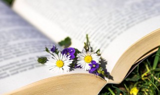 魔域好听又霸气的名字 魔域好听又霸气的名字大全