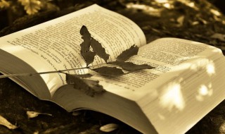 快手名古风霸气 快手网名古风