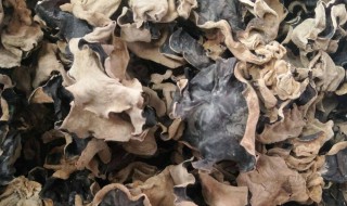 干木耳泡多久才合适（干木耳泡多久才合适呢）