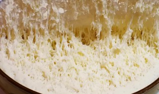 冬天温度低怎么发面 冬天温度低怎么发面包