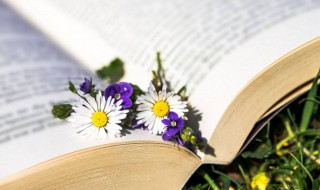 好听的复姓唯美古风 复姓古风网名