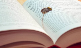 成熟有气质的快手名 成熟有气质的快手名两个字