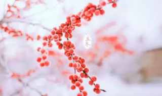 立冬节气南方谚语 立冬节气南方谚语有哪些
