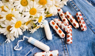 雏菊花怎么养长的好（雏菊花怎么养长的好快）