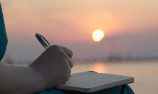 狐狸的拼音怎么写 蘑菇的拼音怎么写