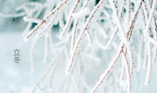 立冬的由来是什么（立冬的由来是什么时候）