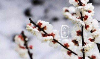 关于立冬节气的祝福语 立冬节气的祝福句子