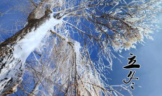 立冬是一年中第几个节气 立冬是冬季第一个节气