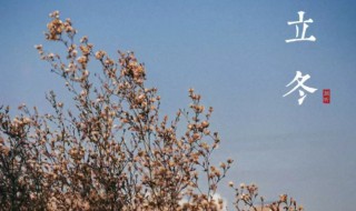关于立冬的由来是什么（了解立冬的由来）