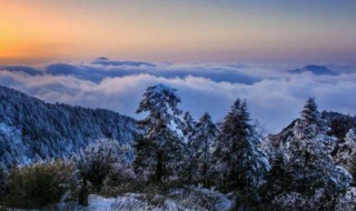 2021立冬是冬天的开始吗（2021年的立冬在什么时候）