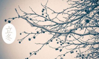 立冬时节的注意事项是什么 什么是立冬及注意事项