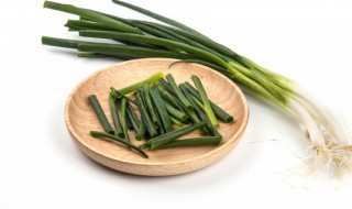 小葱种子怎么种植 小葱种子怎么种植方法视频