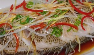 简单清蒸鲈鱼的做法 美味清蒸鲈鱼的做法