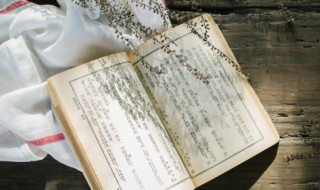 冬至散文（冬至散文800字高中）