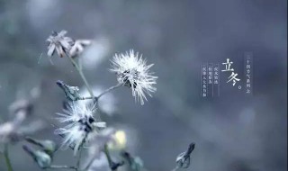 描写立冬的句子精选 描写立冬的句子精选段落