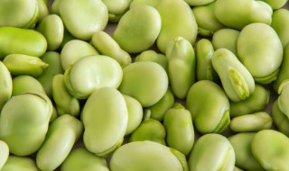 蚕豆皮怎么剥容易 蚕豆皮怎么剥容易熟