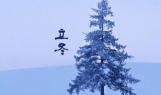 立冬节气的来历以及习俗（立冬节气的典故）