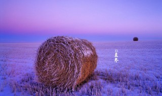 关于立冬节气的知识 立冬是一个怎样的节气