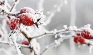 立冬的暖心话语（立冬的暖心话语简短）