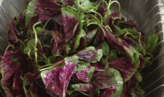 苋菜怎么洗才干净（苋菜怎么洗才干净视频）