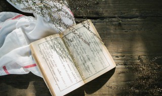 辛弃疾清平乐村居最喜小儿无赖溪头卧剥莲蓬全词翻译 清平乐村居原文内容及翻译