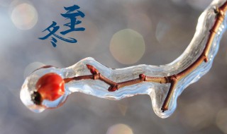 冬至传统习俗有哪些（冬至有什么风俗 传统）