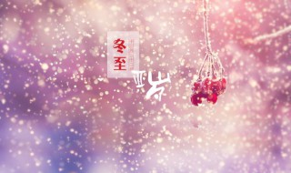 描写冬至唯美的句子 关于描写冬至唯美句子