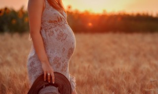 在多少周能感觉到胎动（在多少周能感觉到胎动了）