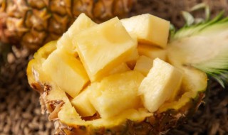 菠萝怎么看熟没熟（菠萝怎么看熟没熟的）