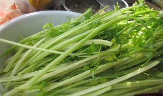 芹菜怎么洗才干净 芹菜怎么洗