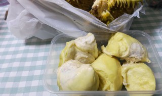 榴莲怎么发芽快（榴莲怎么发芽快）