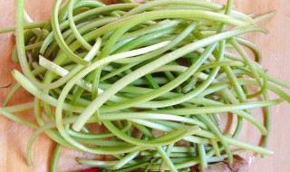 红薯梗怎么保存时间长 红薯梗怎么保鲜