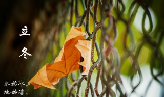 关于立冬的民间习俗和气候特点 立冬节气的气候特点