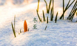 2021描写冬至的优美句子（2021描写冬至的优美句子有哪些）