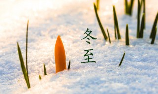 2021冬至过后是什么节气 2021年秋天的节气
