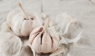 水培大蒜怎么养才能更旺盛 水培大蒜怎么养才能更旺盛呢