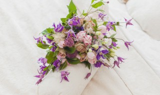 鲜花怎么醒花 鲜花怎么醒花视频