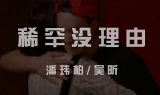 稀罕没理由歌词意思（稀罕没理由歌曲）