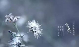 有关立冬节气的优美句子（关于立冬的一些优美短句）