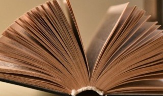 议论的议组词 议论的论组词