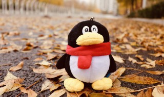 登qq怎么绕过手机验证（登qq怎么绕过手机验证码和辅助资料验证）