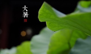 关于夏天的谚语（关于夏天的谚语大全100条）