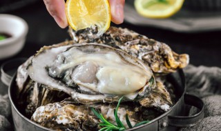 生蚝的养殖方法（生蚝的养殖方法和技术）