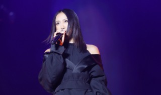 陈粒歌词(虚拟陈粒歌词)