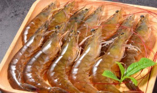 醉虾的配方和制作方法（醉虾的配方和制作方法窍门）