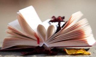 撂怎么读音 撂怎么读音组词