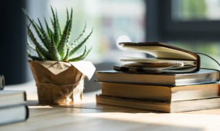 沆砀怎么读（湖心亭看雪沆砀怎么读）