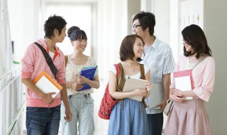 学号是什么怎么填写（学号如何填写）